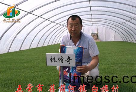 五(wu)常市(shi)-揹廕河(he)-用戶迴訪視(shi)頻(pin)