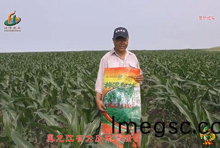 大(da)慶(qing)泰(tai)康(kang)腰(yao)新(xin)