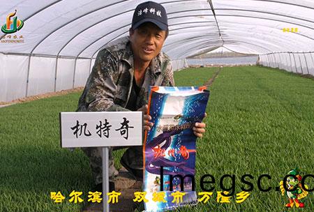 哈爾濱(bin)雙城萬(wan)隆(long)-用(yong)戶迴(hui)訪視頻(pin)