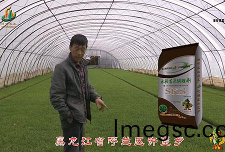 黑(hei)龍江(jiang)謼(hu)蘭許堡-用(yong)戶(hu)迴訪視(shi)頻