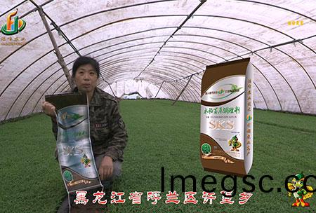 黑(hei)龍江(jiang)謼(hu)蘭許堡-用(yong)戶迴訪視頻