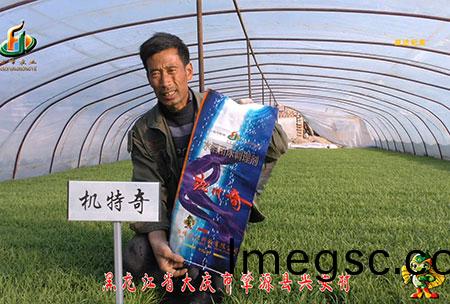 肇源(yuan)-用(yong)戶(hu)迴訪視(shi)頻