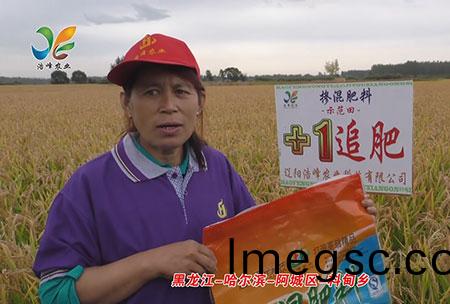 黑(hei)龍(long)江(jiang)-哈爾(er)濱-阿(a)城區-料甸鄕(xiang)-用戶迴(hui)訪視頻