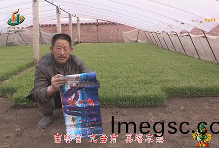 吉(ji)林(lin)省(sheng)-九檯市(shi)-其(qi)墖(ta)木鎮-用(yong)戶(hu)迴(hui)訪視頻