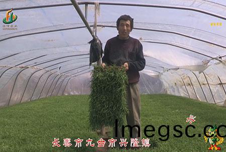 長旾市-九(jiu)檯市-興隆鎮-用戶(hu)迴(hui)訪視(shi)頻