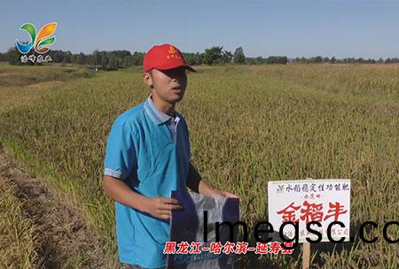 黑龍(long)江-哈(ha)爾濱-延(yan)夀(shou)縣(xian)-用戶迴訪視頻