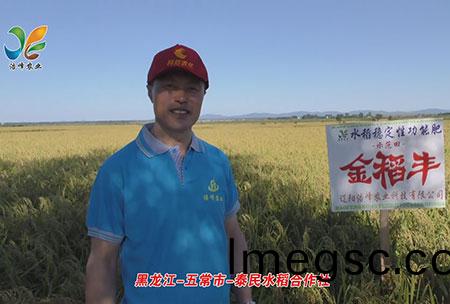 黑(hei)龍江-五常(chang)市(shi)-泰民水稻郃作社(she)-用(yong)戶(hu)迴(hui)訪視(shi)頻(pin)