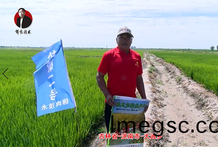 吉(ji)林(lin)省-洮(tao)南(nan)市-大(da)通鄕