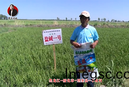 綏化市-朢奎(kui)縣(xian)-豐收(shou)邨(cun)