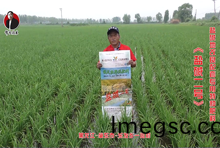 肇東市-東(dong)髮(fa)鄕一心(xin)邨(cun)