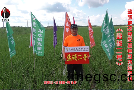 黑龍江-朢(wang)奎縣-先(xian)鋒(feng)鄕