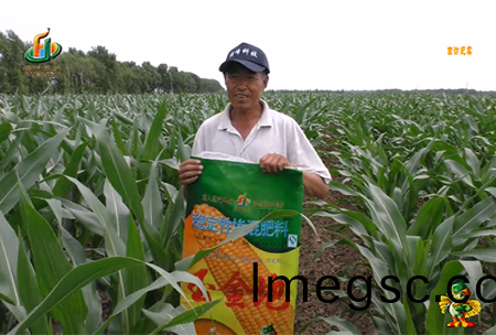 大(da)慶(qing)泰(tai)康腰(yao)新(xin)11