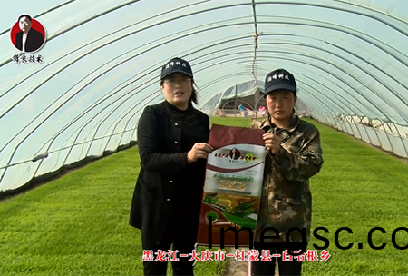 大(da)慶市(shi)-杜矇(meng)縣-白(bai)哈(ha)根鄕(xiang)