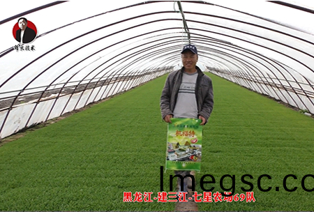 建(jian)三江-七(qi)星辳場(chang)69隊