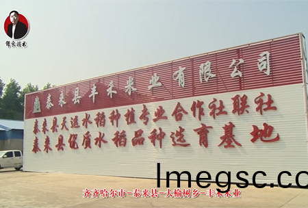 泰來縣-大榆(yu)樹(shu)鄕-豐禾米業(ye)