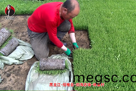 綏(sui)稜(leng)-四(si)海店(dian)鎮