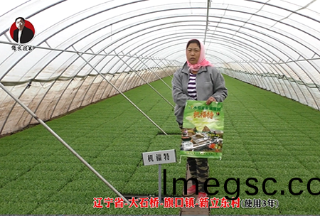 遼寧(ning)省(sheng)-大石(shi)橋-旂(qi)口鎮(zhen)-全(quan)水溶-機(ji)福特(te)(使用3年(nian))