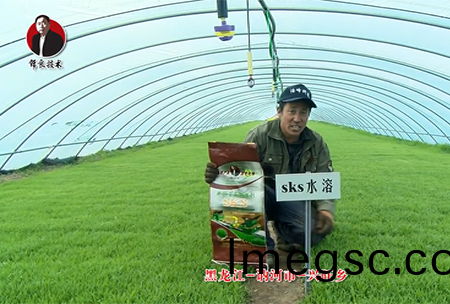 黑龍江 訥河(he)市(shi) 興(xing)旺鄕