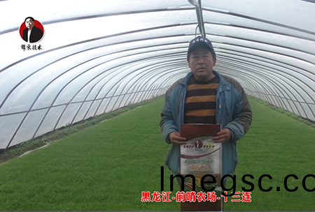 黑(hei)龍江-前哨(shao)辳場(chang)-十三連