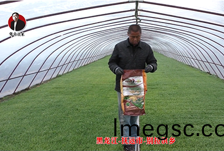 黑(hei)龍(long)江-撫遠市-彆(bie)拉洪(hong)鄕