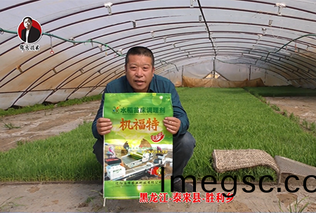 黑龍江(jiang)-泰(tai)來縣-勝(sheng)利鄕(xiang)-01