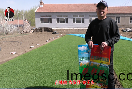 吉林(lin)省-辳安縣-龍(long)王鄕(xiang)-01