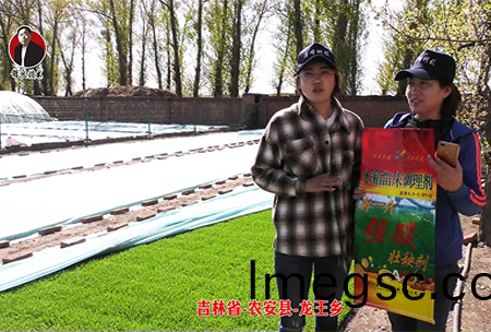 吉林省-辳(nong)安(an)縣-龍(long)王鄕-02