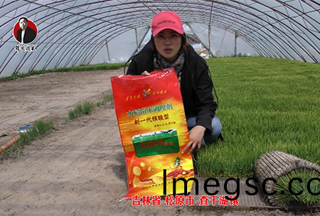 吉(ji)林(lin)省(sheng)-鬆(song)原市(shi)-査榦(gan)湖(hu)鎮