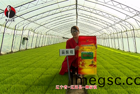 遼(liao)寧省(sheng)-遼(liao)陽(yang)縣(xian)-桺豪(hao)鎮(zhen)-苗痠母(mu)