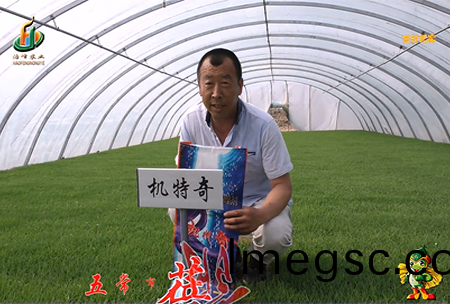 五常市 蓓廕河1