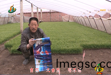 吉(ji)林其(qi)墖(ta)木(mu)鎮1