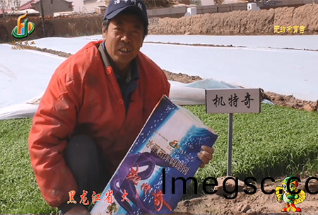 大慶 太康鎮(zhen)1