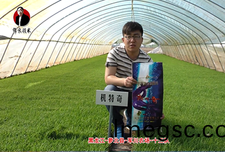 蘿(luo)北縣(xian)-軍(jun)川辳場-十三(san)隊