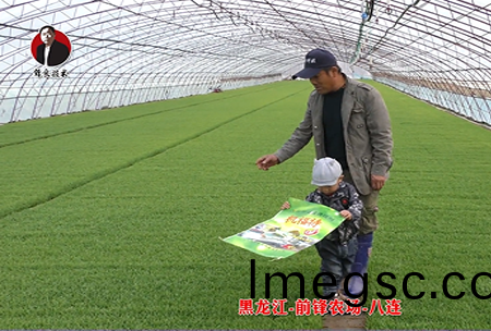 黑龍江(jiang)-前(qian)鋒辳場(chang)-八(ba)連