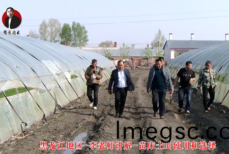 《錦良(liang)技(ji)術(shu)》苗牀土的使(shi)用咊(he)選擇(ze)